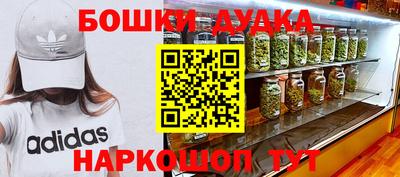 соль ск Новодвинск