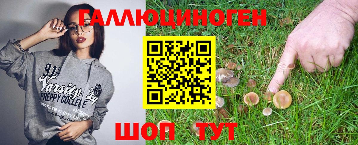 Псилоцибиновые грибы мицелий Северобайкальск