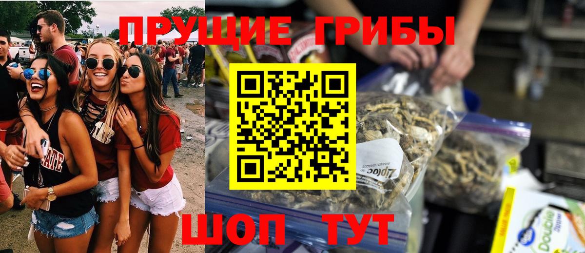 Псилоцибиновые грибы Magic Shrooms  даркнет сайт  Псилоцибиновые грибы Cubensis  Северобайкальск  Вход с VPN 